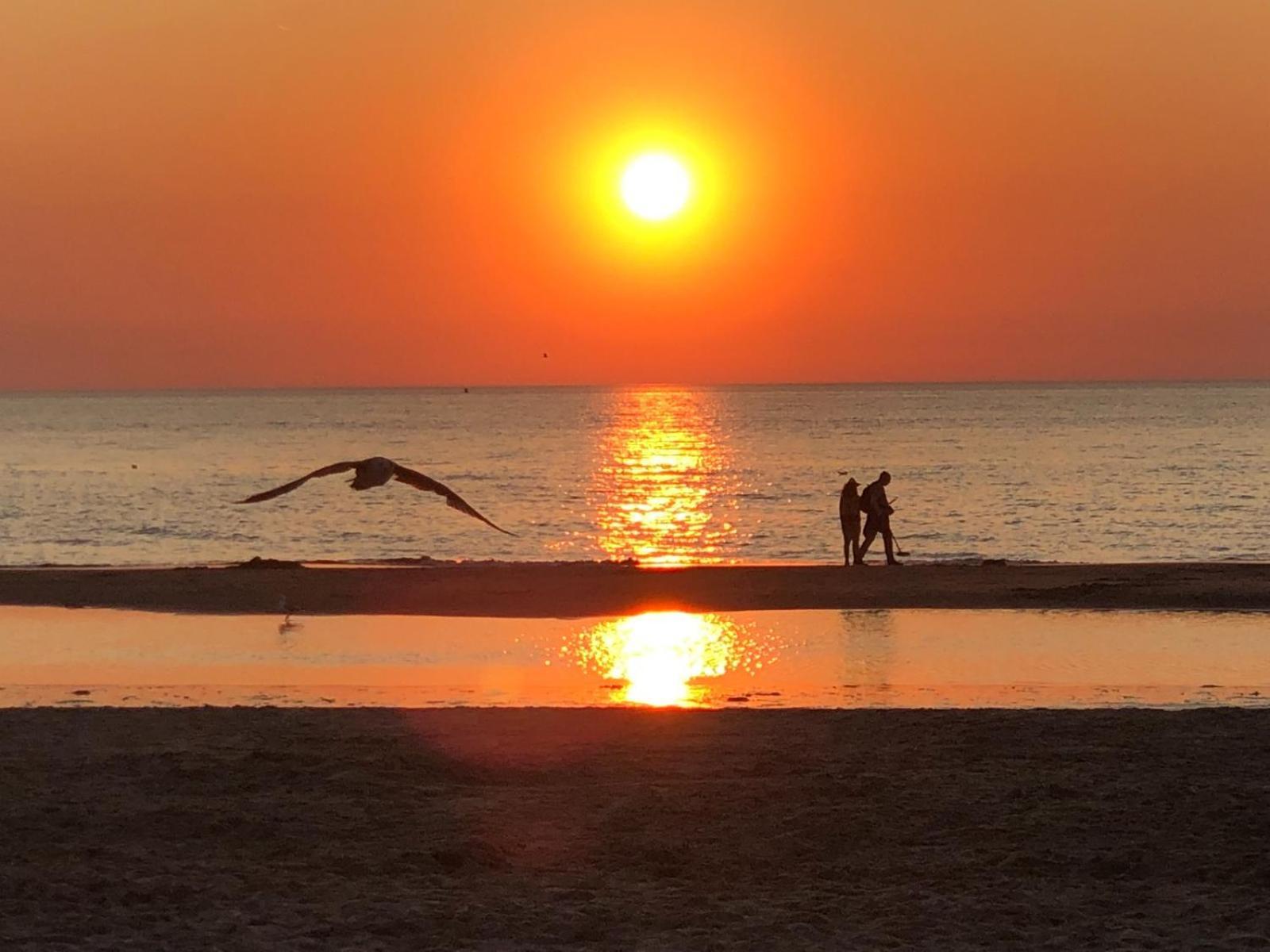 Villa Aan Zee Noordwijk Bagian luar foto